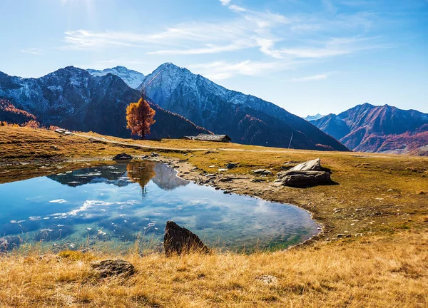 Gorgeous autumnal mountainscape and small mountain lake — Stock Photo, Image