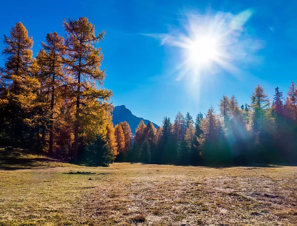 Sol brillando sobre hermoso paisaje montañoso otoñal y madera —  Fotos de Stock