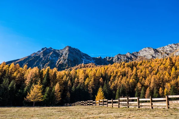 Hermoso paisaje montañoso otoñal con valla de madera —  Fotos de Stock