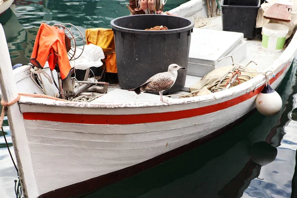 Mewa stojący na statku zadokowany — Zdjęcie stockowe
