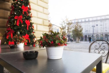 Noel holly vazo şehir tablolarda