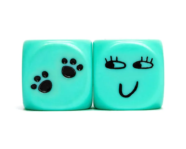 Turquoise conconceptual dices - In love with animals — Stok Foto