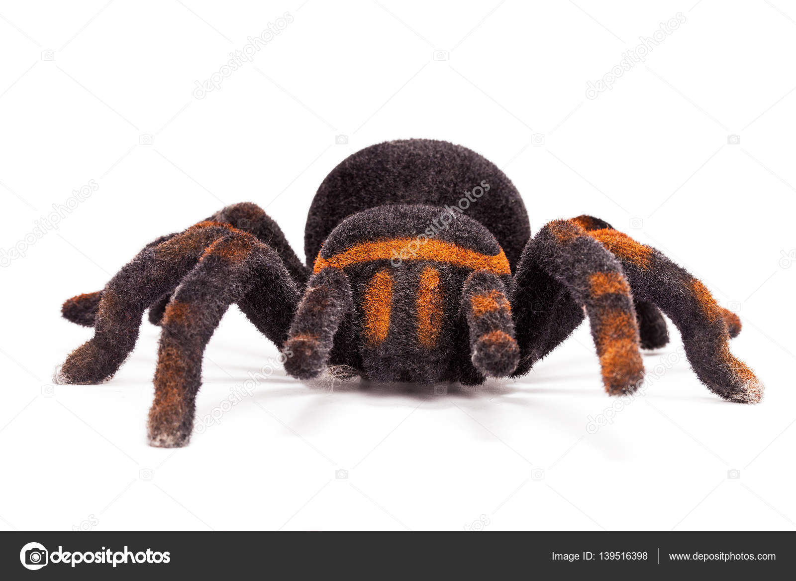 Spider stuffed animal isolated on white, front view Stock Photo by  ©patronestaff 139516398