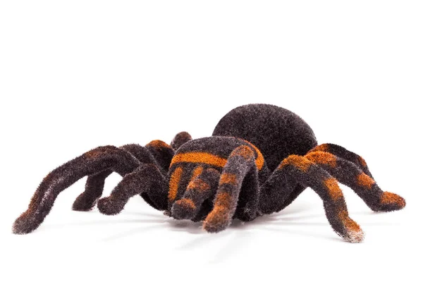 Black and orange spider stuffed animal isolated on white — Stock Photo, Image