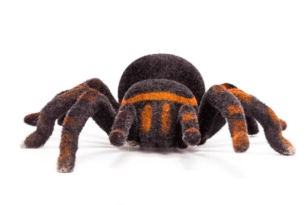 Spider stuffed animal isolated on white, front view — Stock Photo, Image