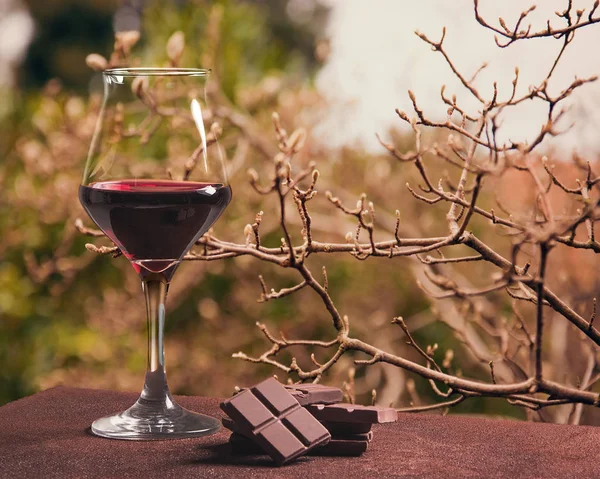 Copo de vinho tinto com ramos de árvore de chocolate e outono — Fotografia de Stock