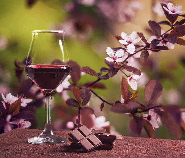 Weinglas mit Schokolade und hübschen Kirschbaumblüten im Frühling — Stockfoto