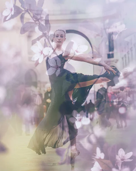 Dupla exposição de bailarino lindo e flores de cerejeira — Fotografia de Stock