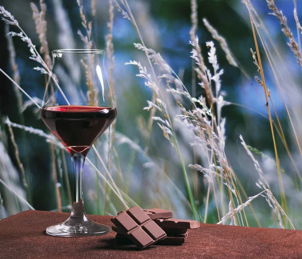 Bicchiere da vino rosso con cioccolato e bellissimo campo autunnale — Foto Stock
