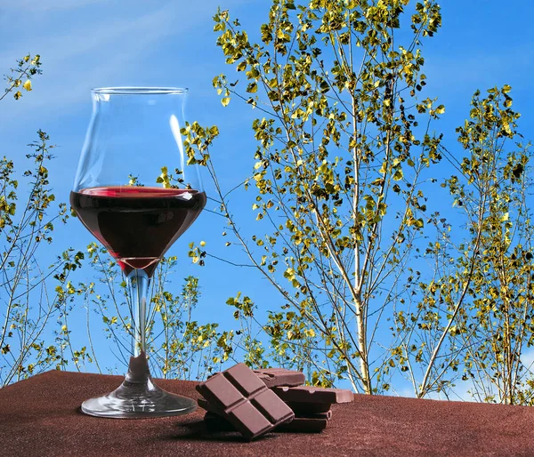 Kieliszek do wina z czekolady i gałęzie drzewa z jesieni pozostawia — Zdjęcie stockowe