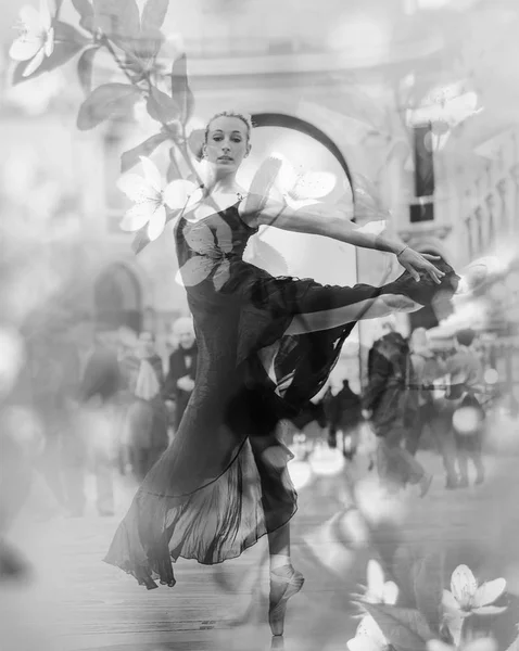 Doble exposición monocromática de hermosas bailarinas de ballet y flores de cerezo — Foto de Stock
