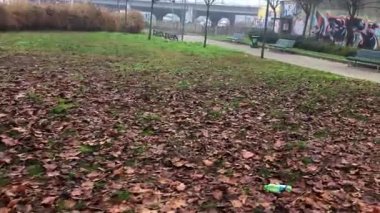 Güzel sonbahar günü Kentsel Park'ta yürüyordunuz