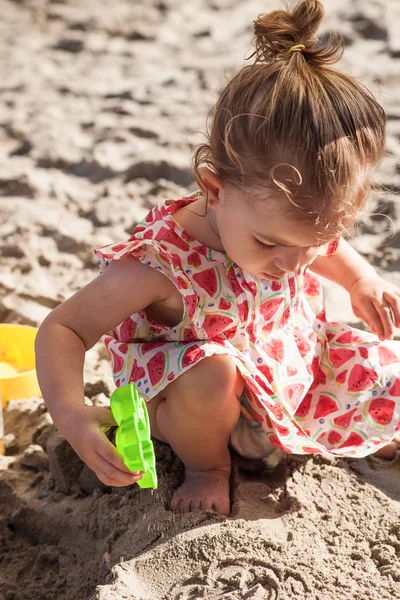 Sevimli küçük kız kum oyuncakları ile oynarken