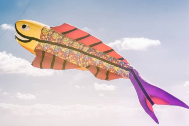 Renkli uçurtma balık biçiminde