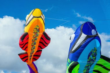 Renkli uçurtma balık biçiminde ve mavi bulutlu gökyüzü