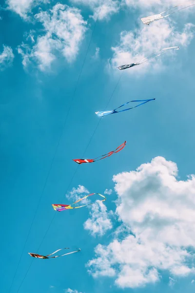 Colorful kites in a row flying in blue cloudy sky — Stock Photo, Image