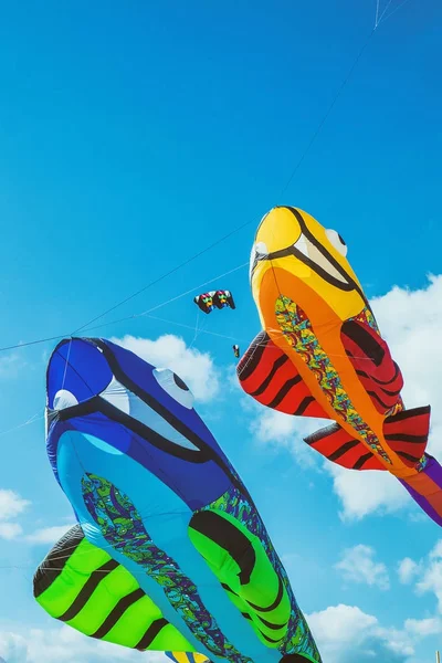 Aquiloni colorati a forma di pesce e cielo blu — Foto Stock