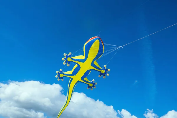 Pipa em forma de lagarto voando no céu azul — Fotografia de Stock