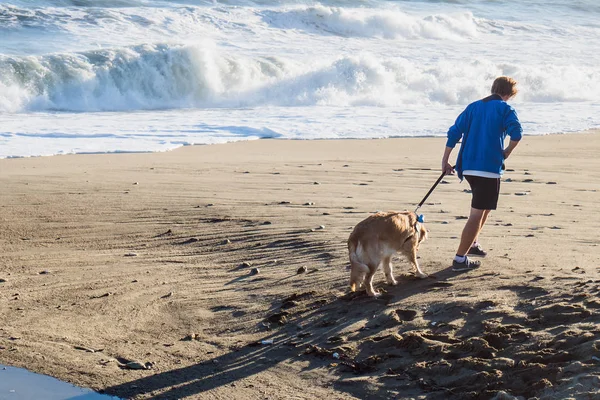 รูปภาพเด็กชายนําสุนัขของเขา รอบชายหาดบนเชือก — ภาพถ่ายสต็อก