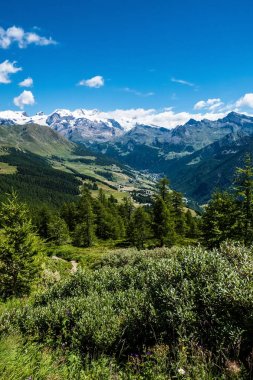 Güzel ve rahatlatıcı mountainscape ve çam ormanları