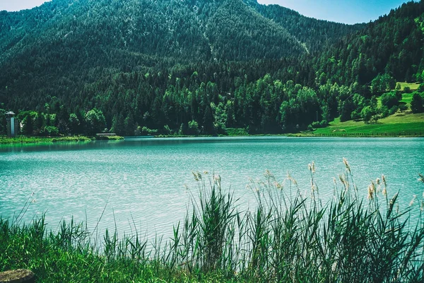 Hermoso y tranquilo lago y bosques en el norte de Italia —  Fotos de Stock