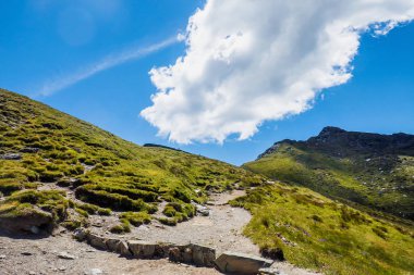 Kayalar ve yeşil çimen, dağlarda yaz