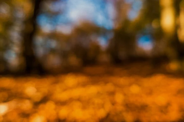 Bokeh textur av hösten landskap — Stockfoto