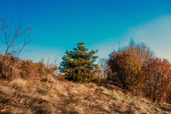 Beautiful autumnal landscape and blue sky — Stock Photo, Image