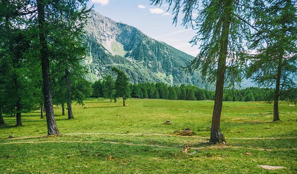 Красивый парк в горах, Северная Италия — стоковое фото