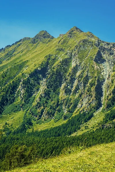 Pic de montagne verte en été, Italie du Nord — Photo