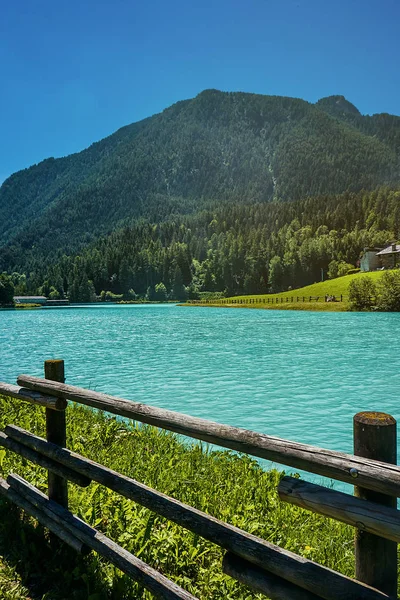 Pine woods and beautiful blue lake in North Italy mountains — Stock Photo, Image