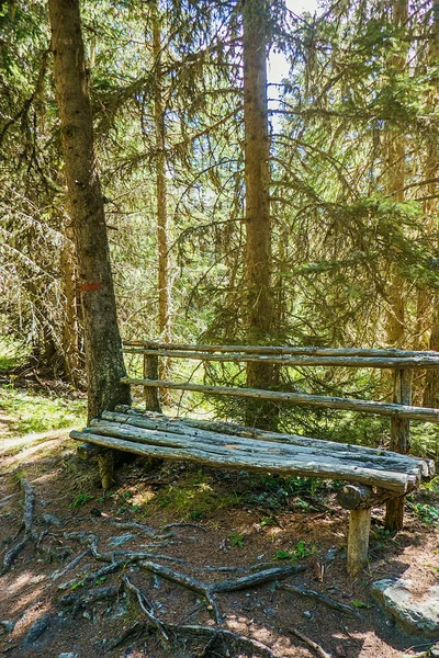 Wooden trunks bench in the woods, North Italy — Stock Photo, Image