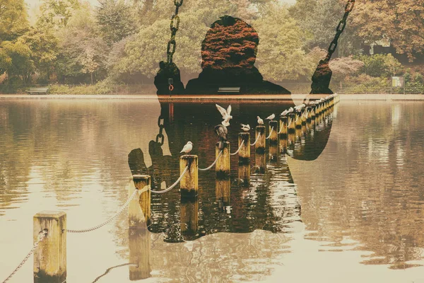 Double exposure of kid on swing and seagulls in London park — Stock Photo, Image