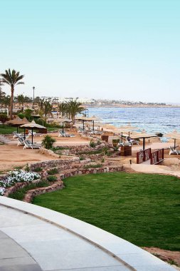 Mısır güzel ve rahatlatıcı tesisi Bahar,