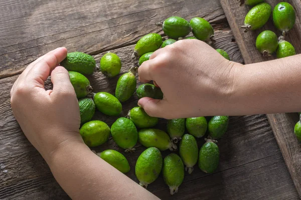 Feijoa zralé ovoce — Stock fotografie