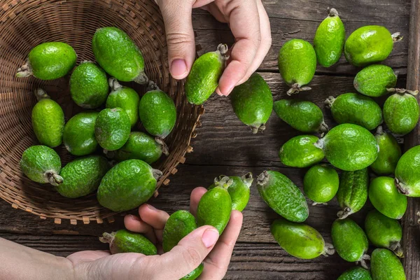 Feijoa zralé ovoce — Stock fotografie