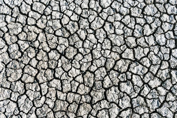 Textura del suelo agrietada — Foto de Stock