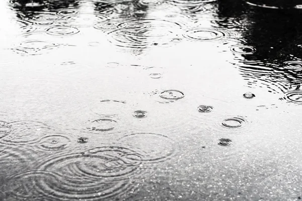 Gocce di pioggia in una pozzanghera — Foto Stock