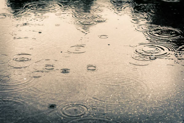 Gotas de lluvia en un charco —  Fotos de Stock