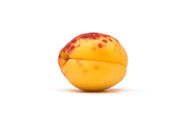 Frutas de damasco sobre fundo branco — Fotografia de Stock
