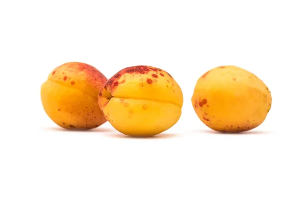 Frutas de albaricoque sobre fondo blanco — Foto de Stock