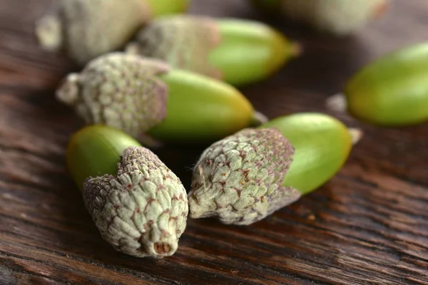 Ahşap arka planda meşe palamutları