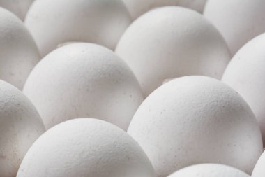 Kağıt konteyner içinde yumurta