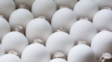 Kağıt konteyner içinde yumurta