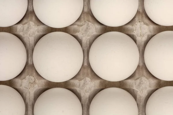 Kağıt konteyner içinde yumurta — Stok fotoğraf