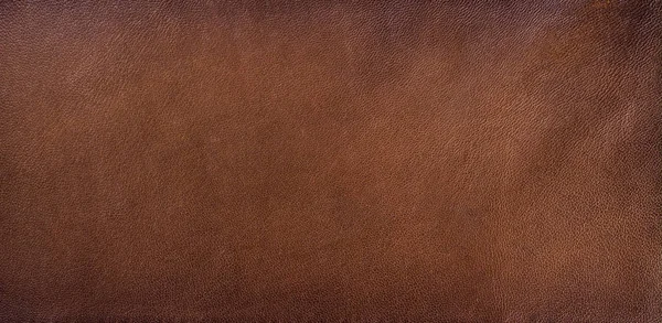 Genuine leather texture background — Stock Photo, Image