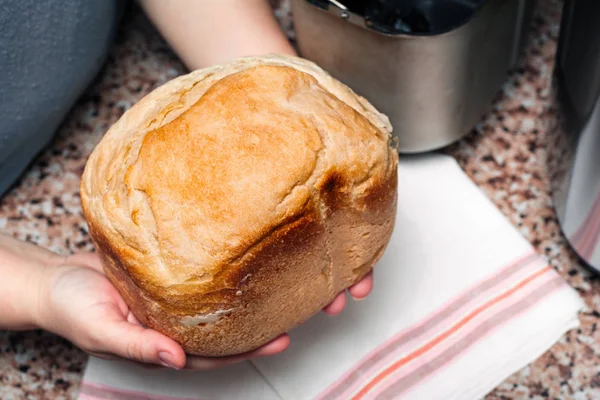 Домашний хлеб в руках, испеченный в хлебопечке — стоковое фото
