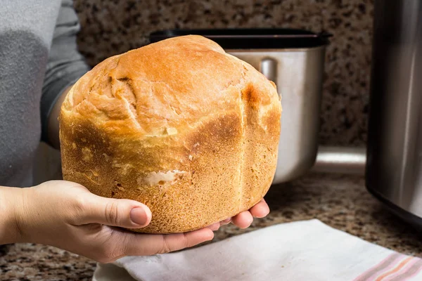 손에 breadmaker에서 구운 수 제 빵 — 스톡 사진