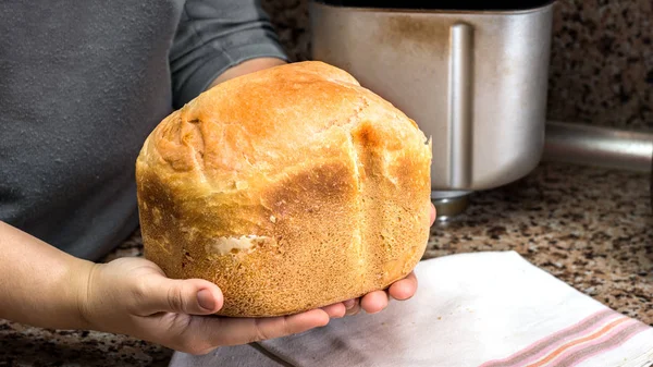 손에 breadmaker에서 구운 수 제 빵 — 스톡 사진