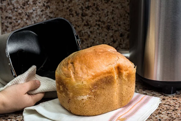 수 제 빵은 breadmaker에서 구운 — 스톡 사진